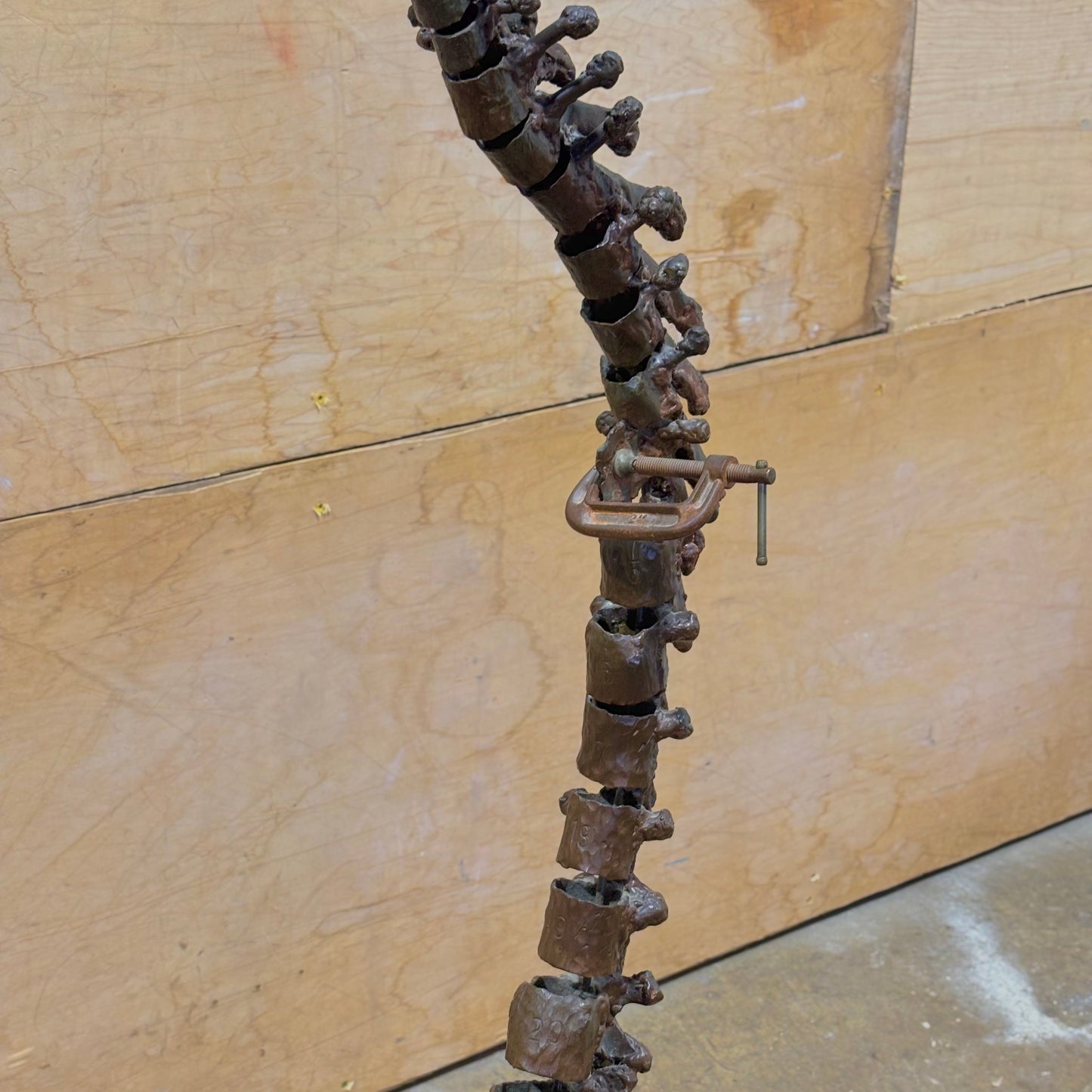 Welded Steel Anatomical Spine Sculpture by Jason Ferguson
