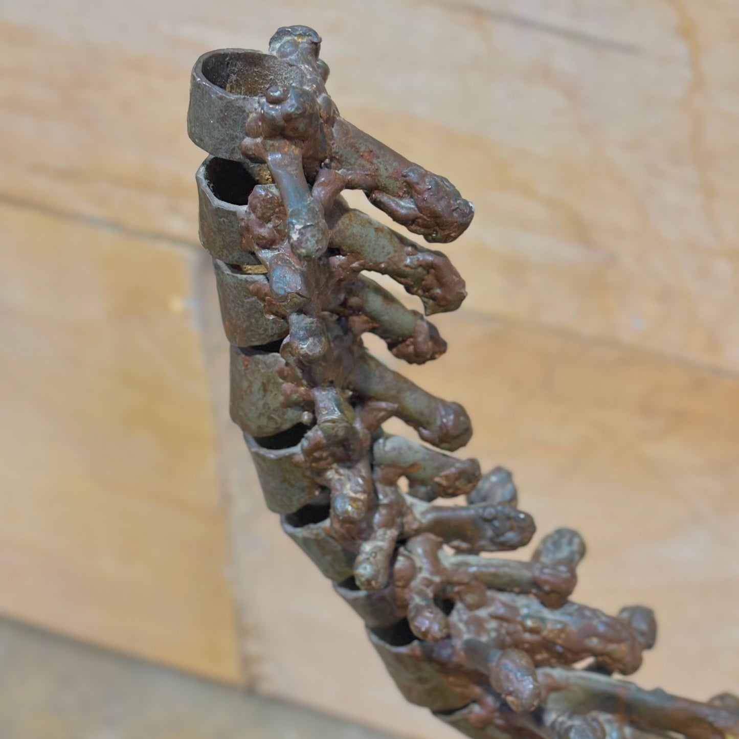 Welded Steel Anatomical Spine Sculpture by Jason Ferguson