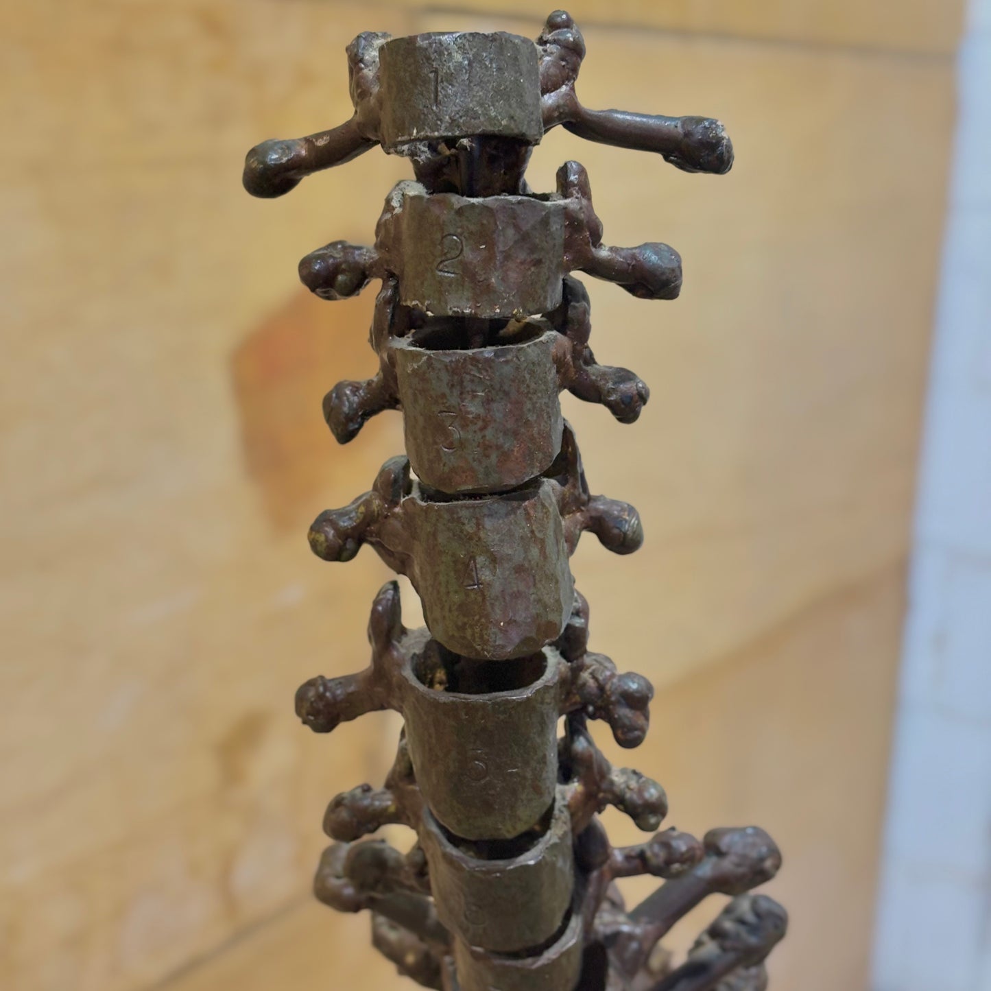 Welded Steel Anatomical Spine Sculpture by Jason Ferguson