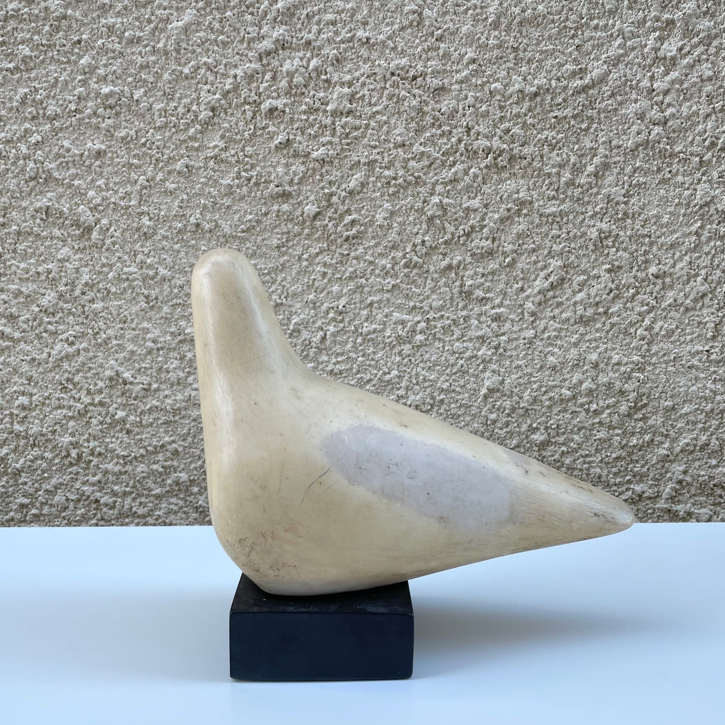 Stone Dove by Cleo Hartwig