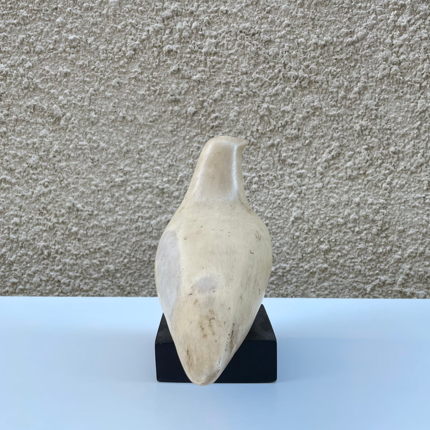 Stone Dove by Cleo Hartwig