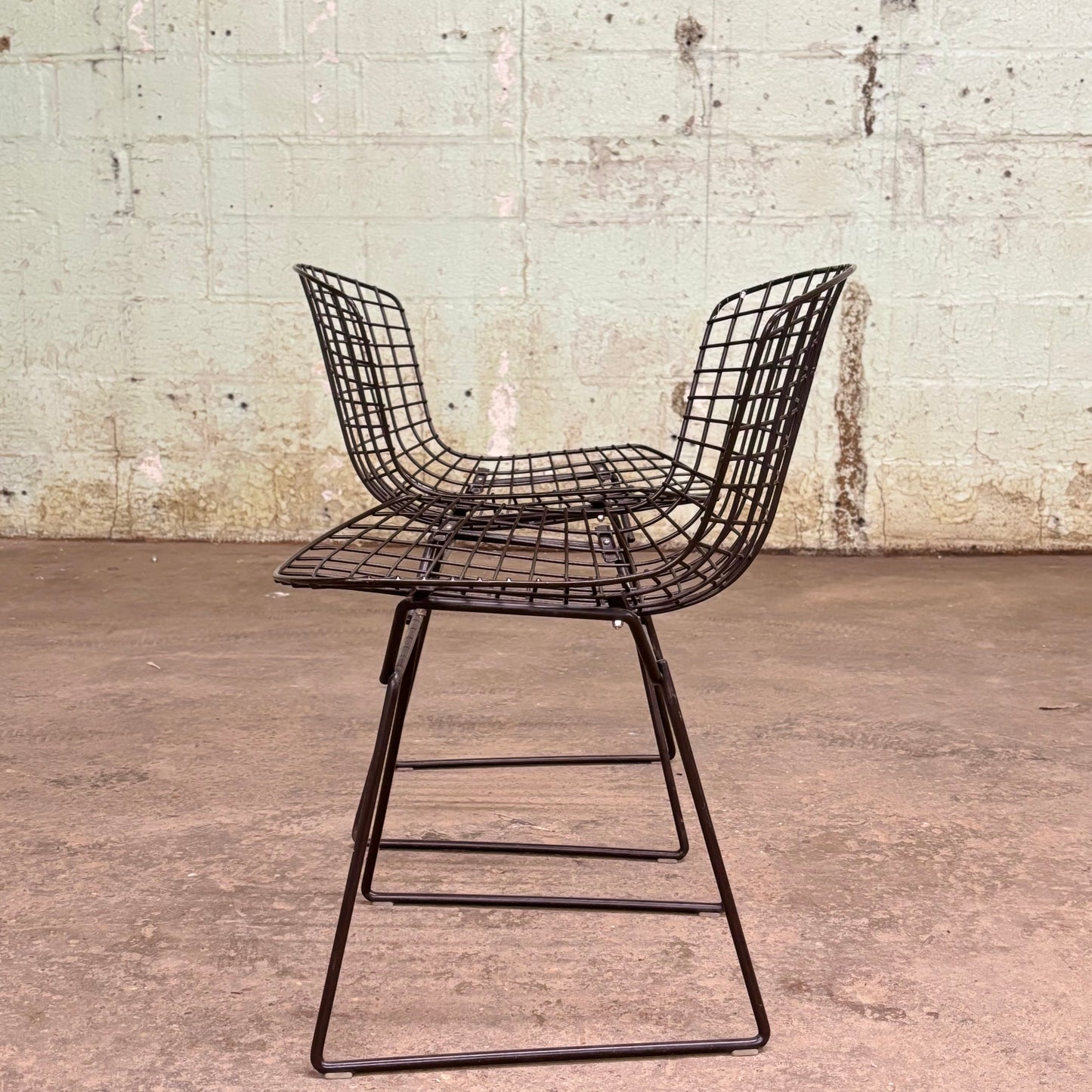 Wire Side Chairs by Harry Bertoia for Knoll