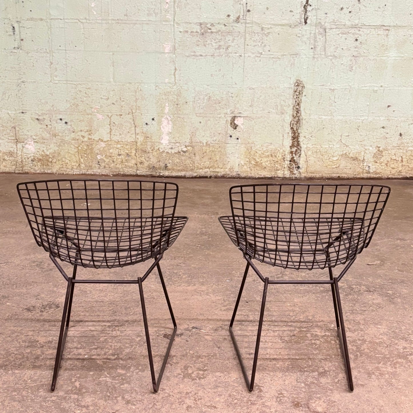 Wire Side Chairs by Harry Bertoia for Knoll