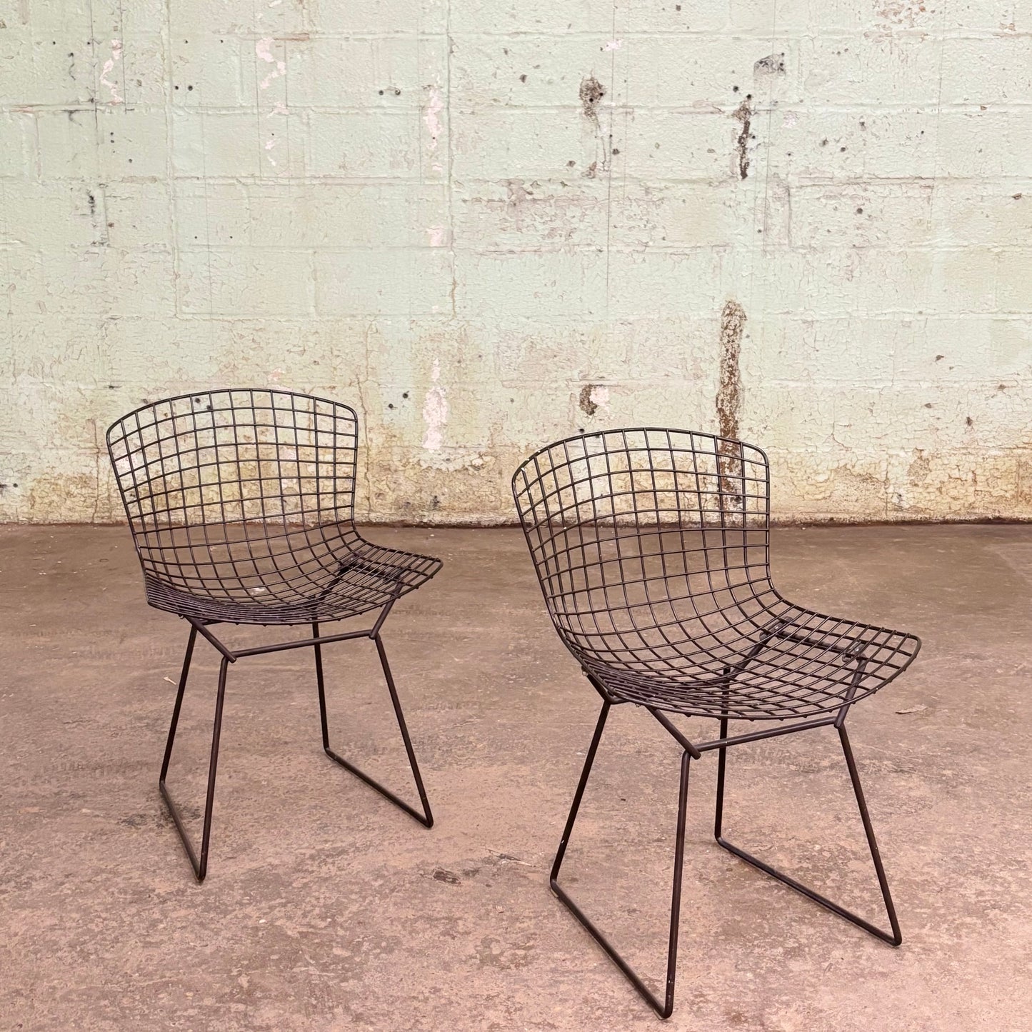 Wire Side Chairs by Harry Bertoia for Knoll