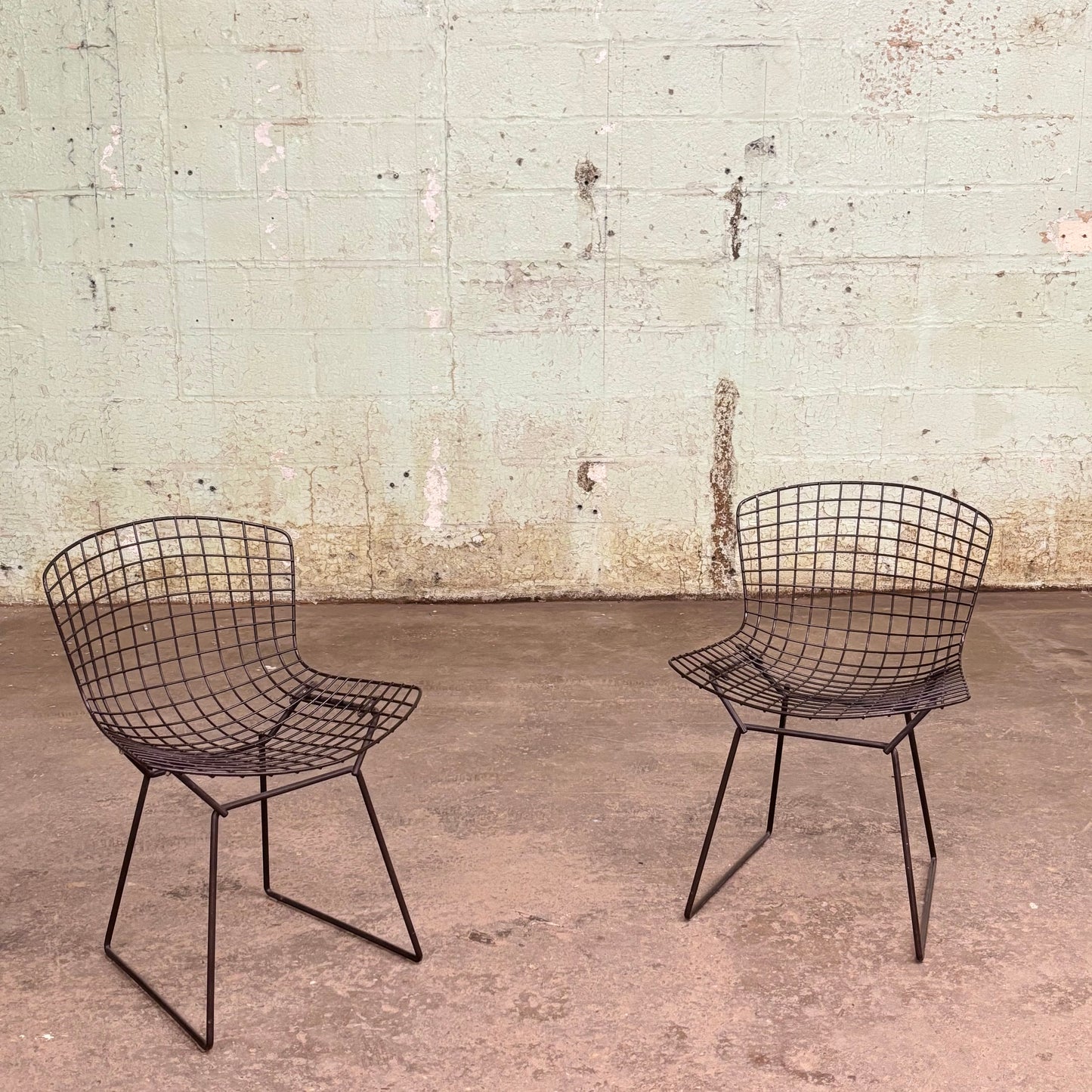 Wire Side Chairs by Harry Bertoia for Knoll