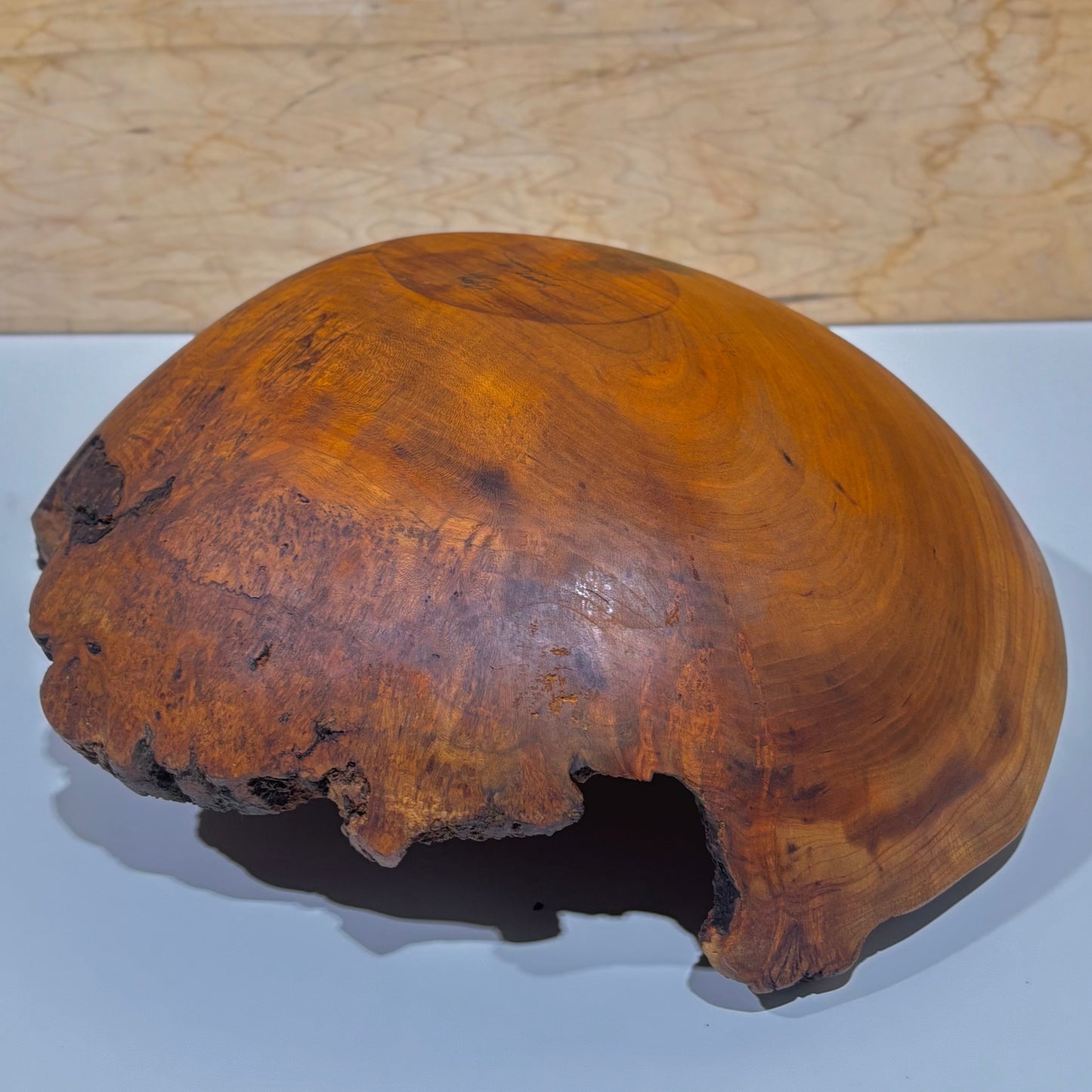 Lathe-Turned Live Edge Wood Bowls by Spencer Peterman