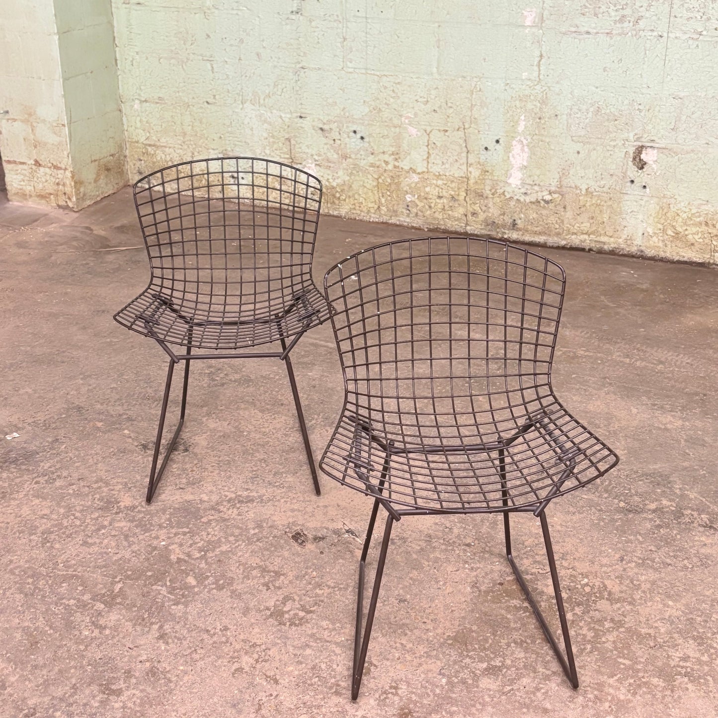 Wire Side Chairs by Harry Bertoia for Knoll