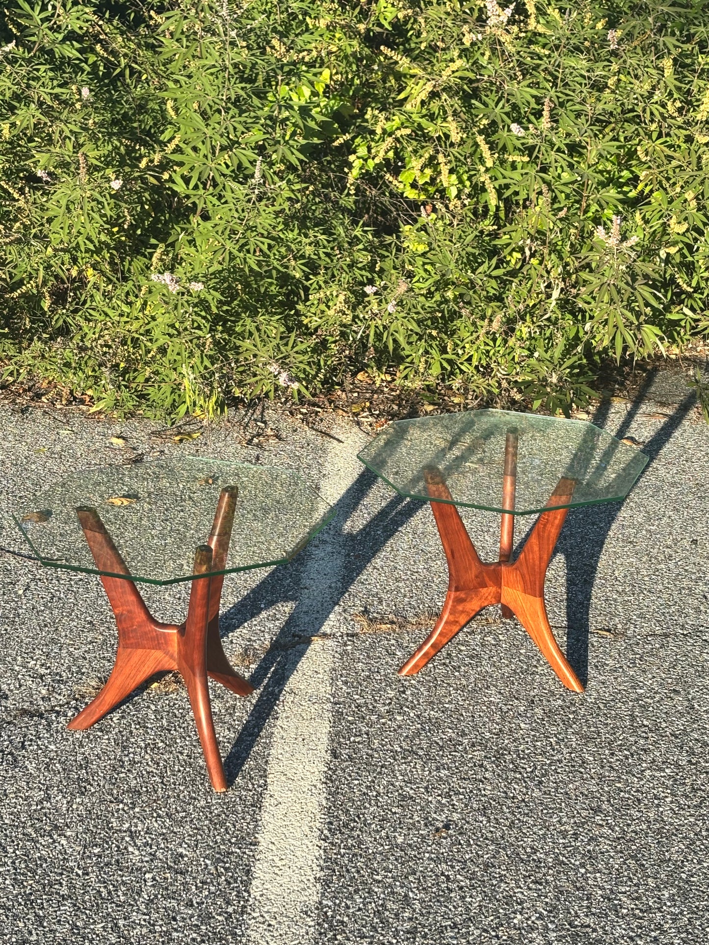 Vintage MCM Sculpted Walnut & Glass Tables